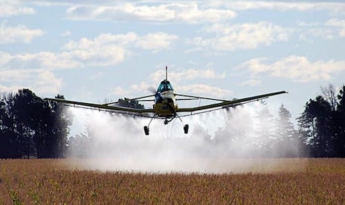 fumigaciones uruguay